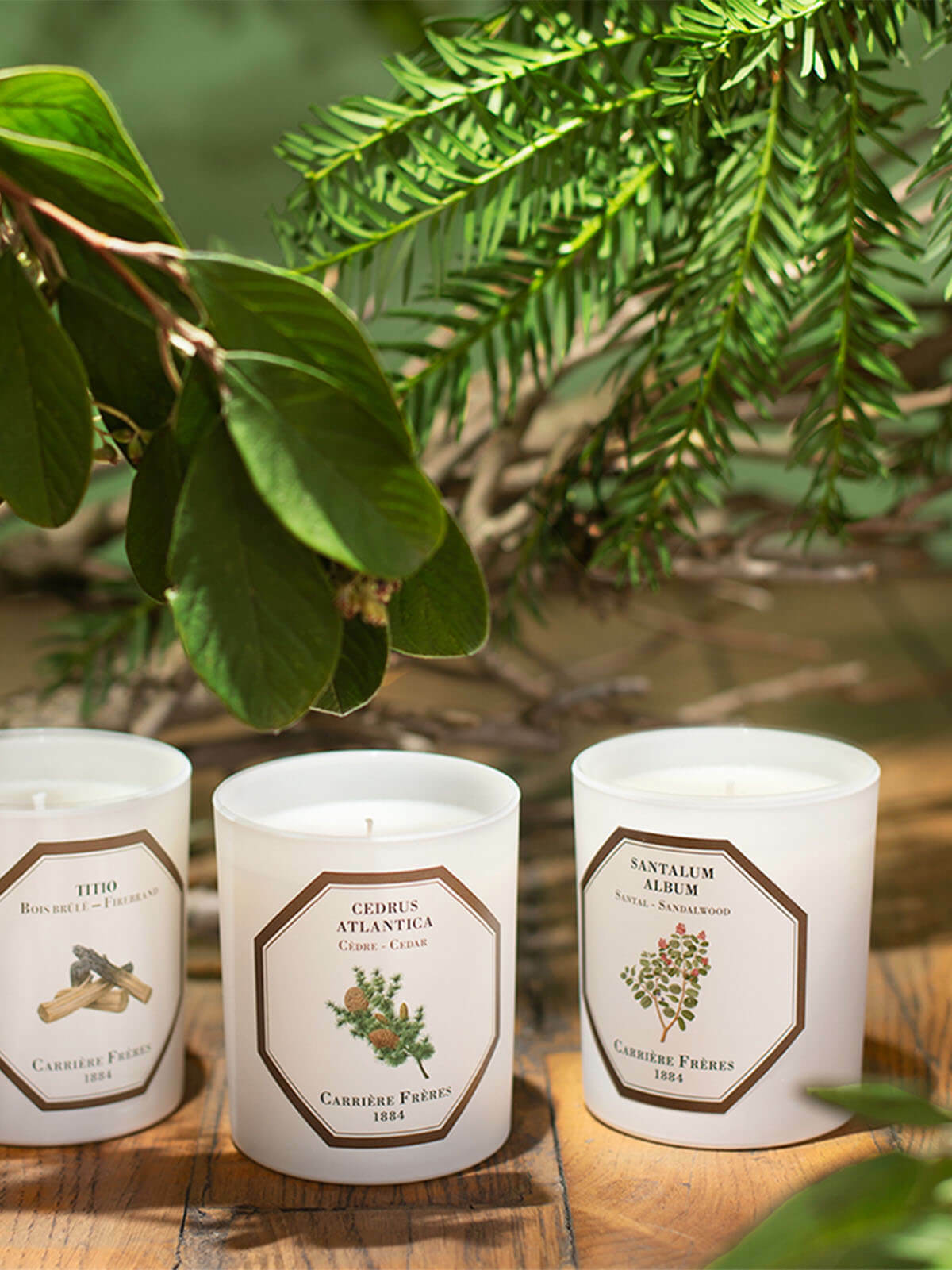 Carrière Frères 檀香香氛蠟燭