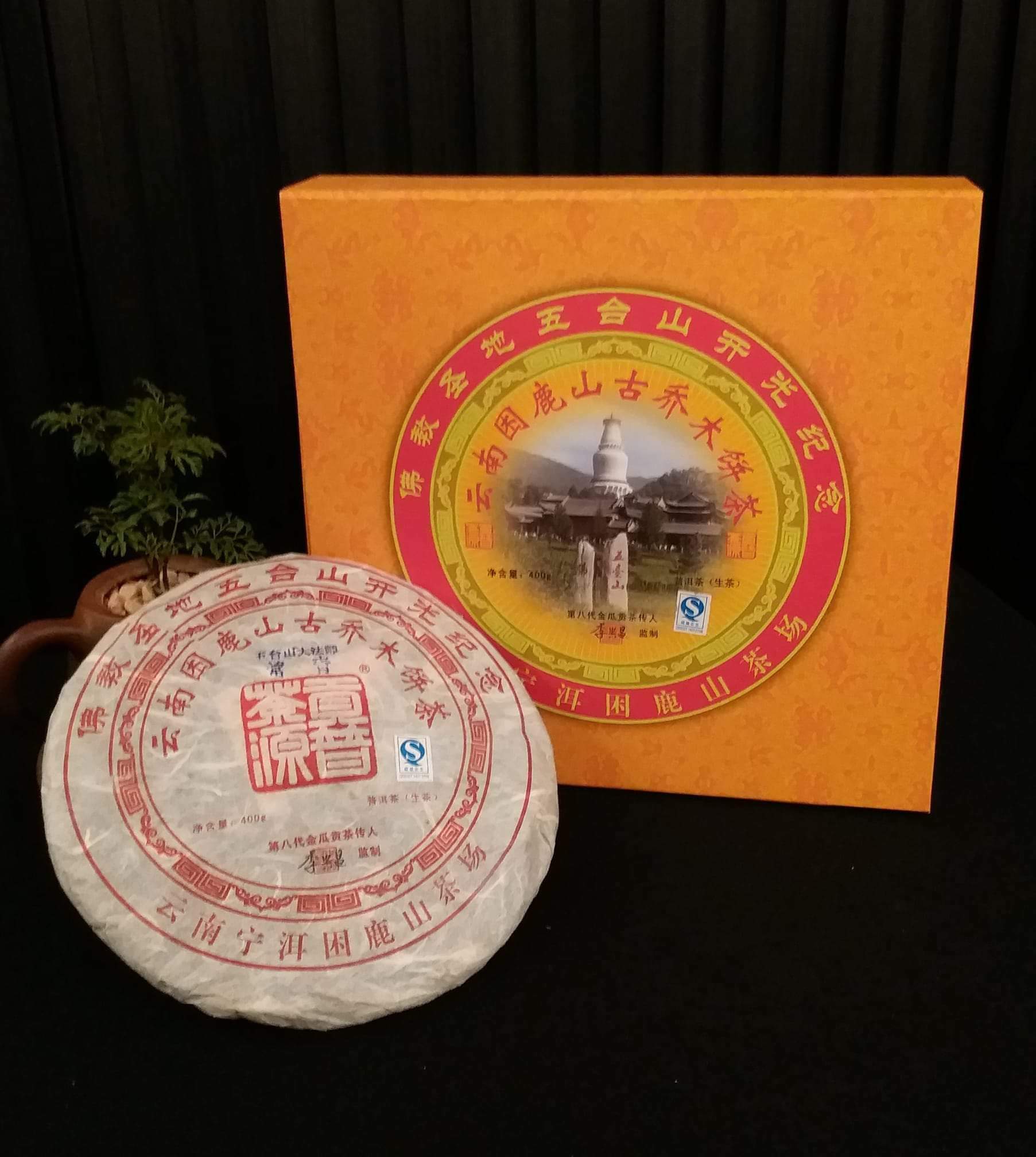 困鹿山皇家古茶園 古樹茶