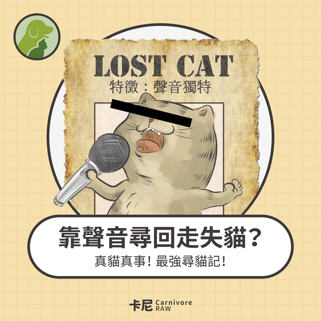找回走失貓