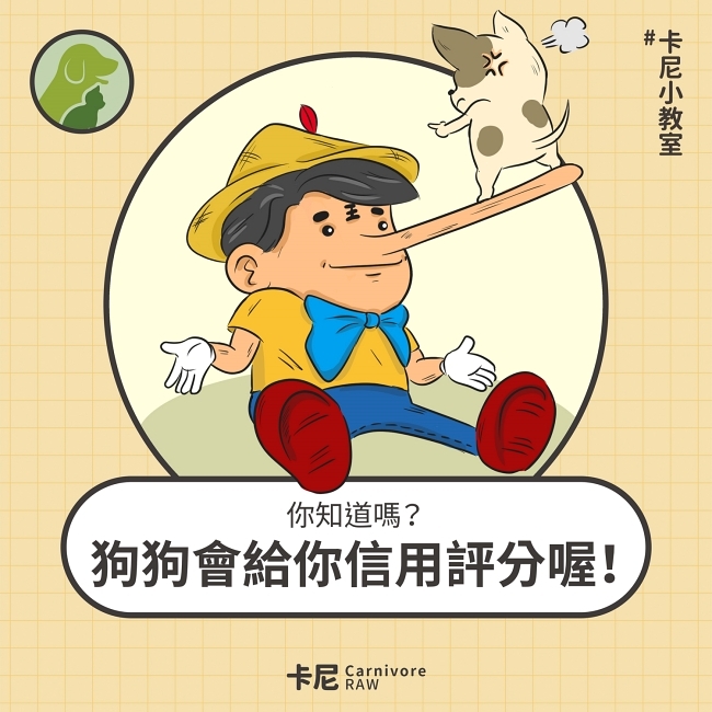 人類說謊 狗狗生氣