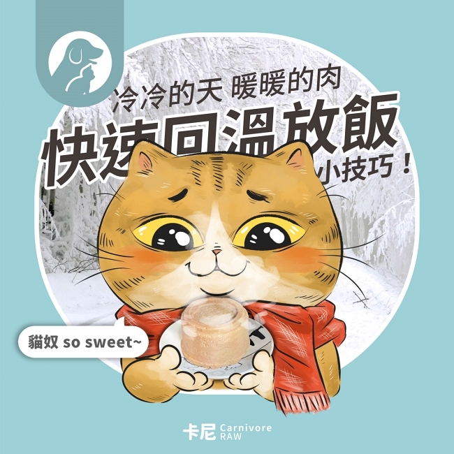 貓咪吃溫熱肉肉