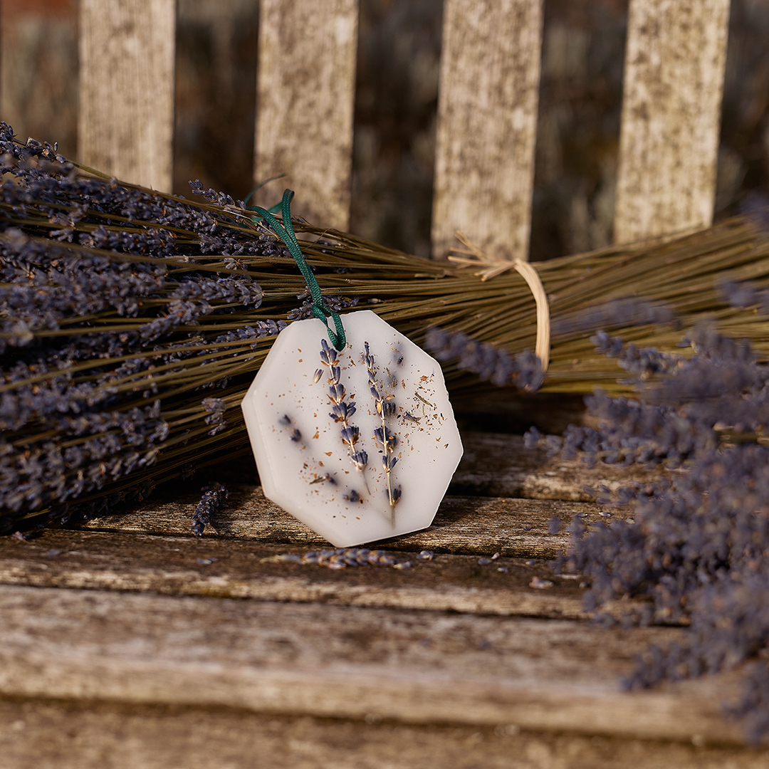 Carrière Frères 薰衣草香磚(兩入)