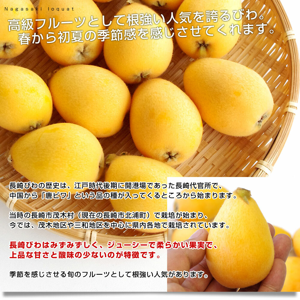 長崎枇杷禮盒 500g (M/L)