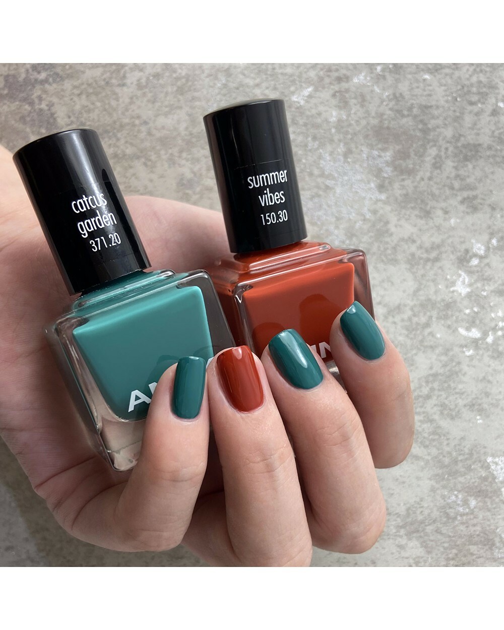 焦糖仙人掌 (150.30+371.20)