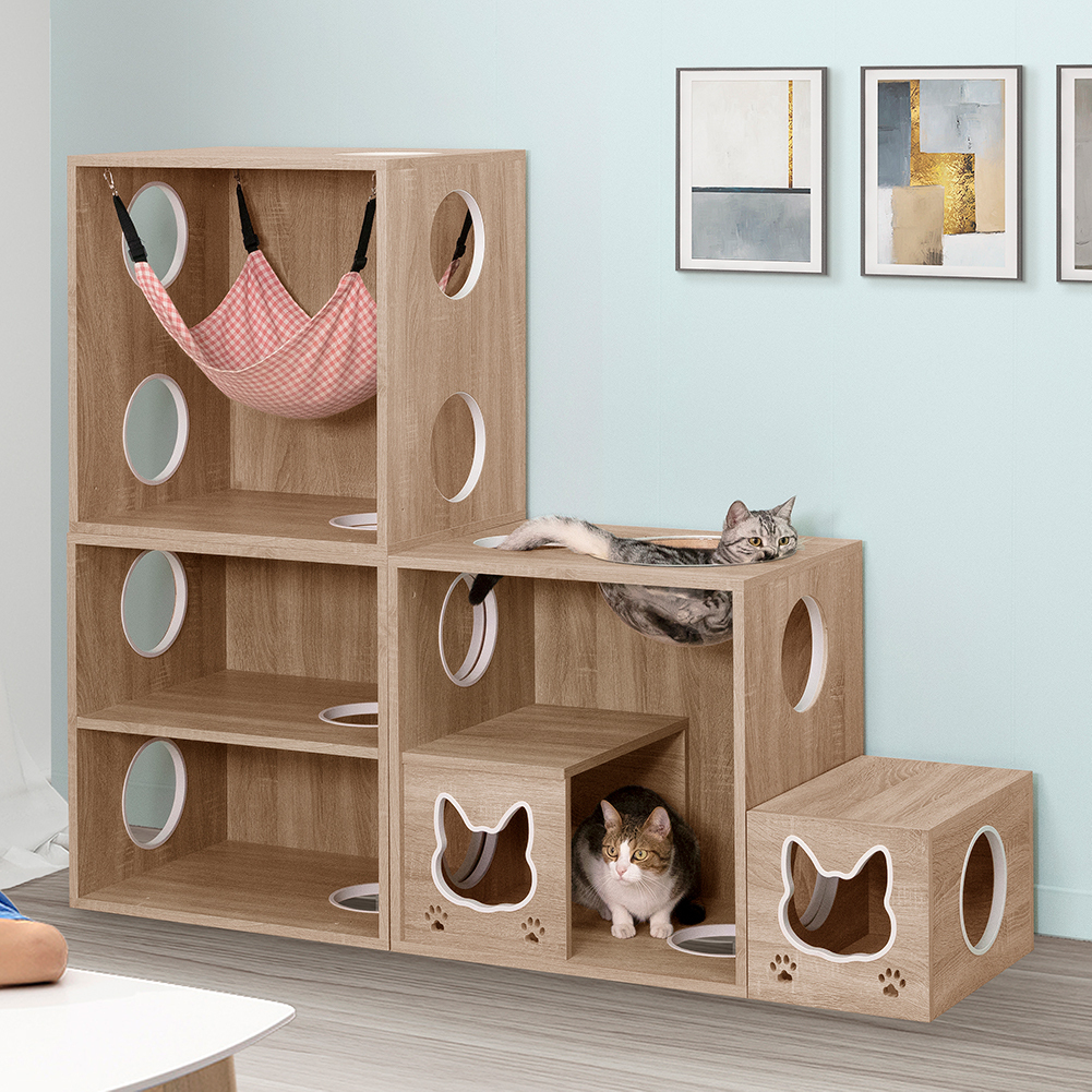 穿越貓跳台階梯組