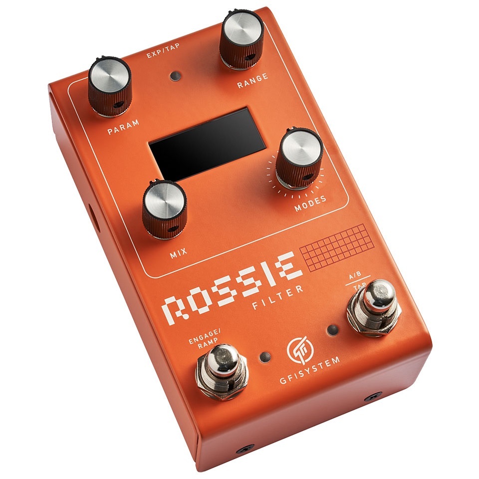 GFI SYSTEM ROSSIE FILTER 格安美品　サチモス GFI SYSTEM ( ジーエフアイシステム ) ROSSIE FILTER 送料無料