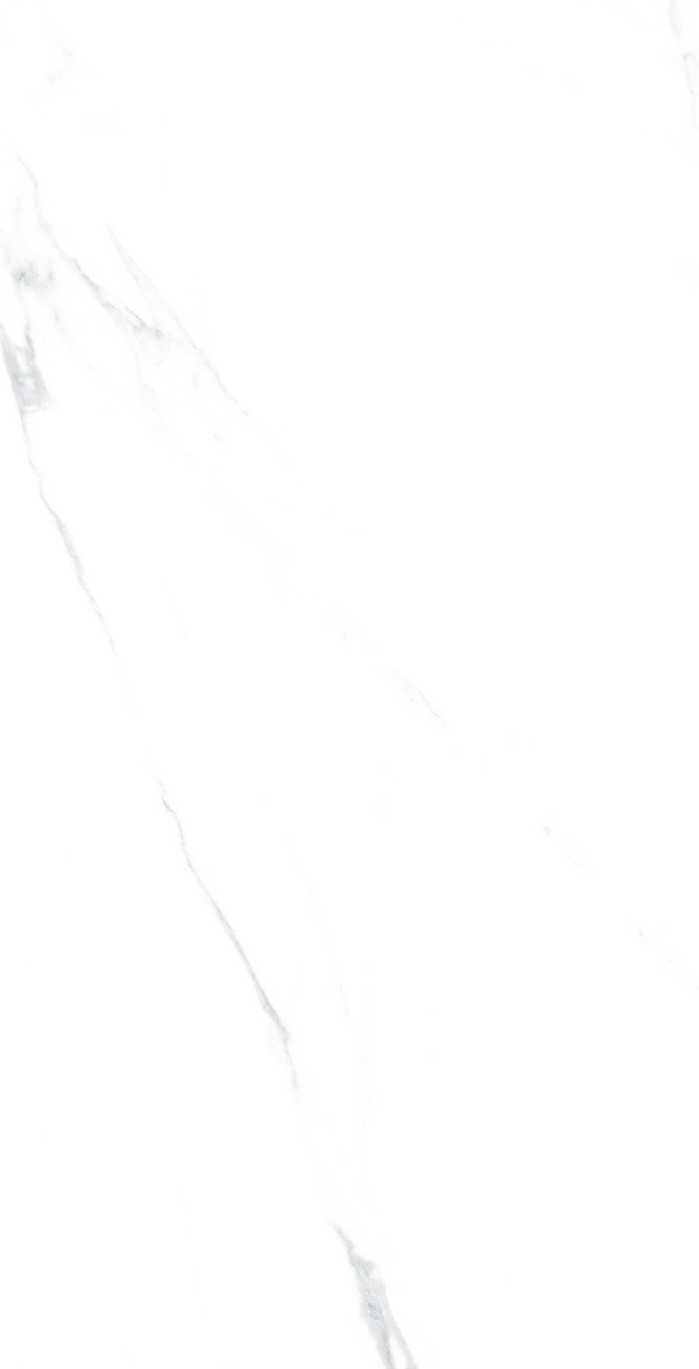 EOU61208