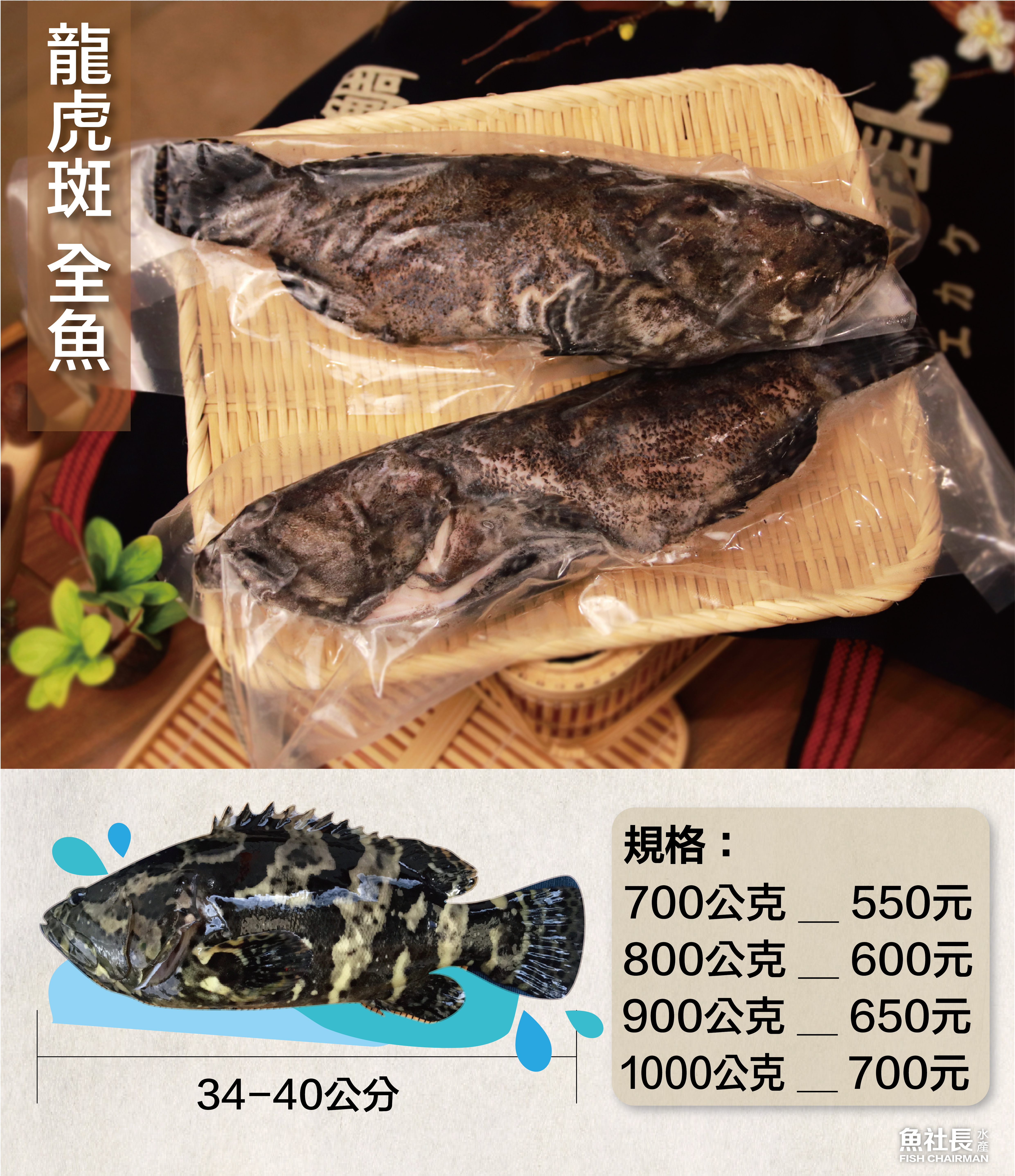 龍虎斑全魚