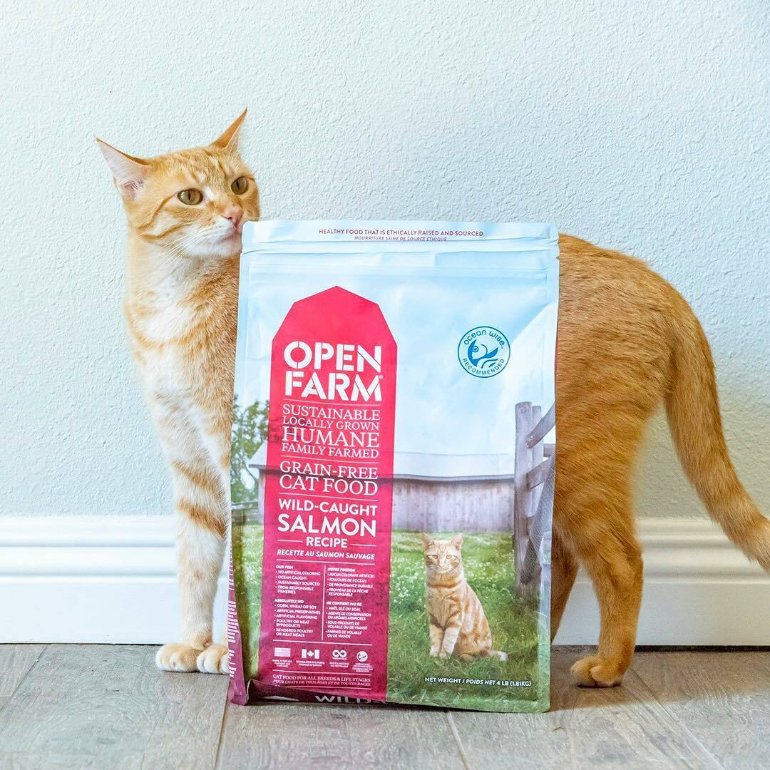 OPEN FARM 無穀物貓糧 - 野生三文魚 4lbs