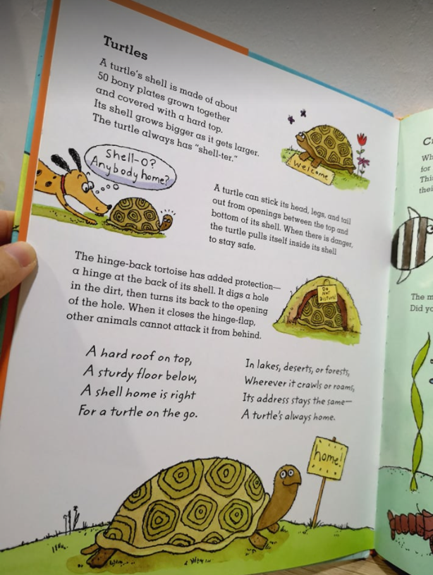 cs You Cant Build A House If You Are A Hippo (Hardcover)