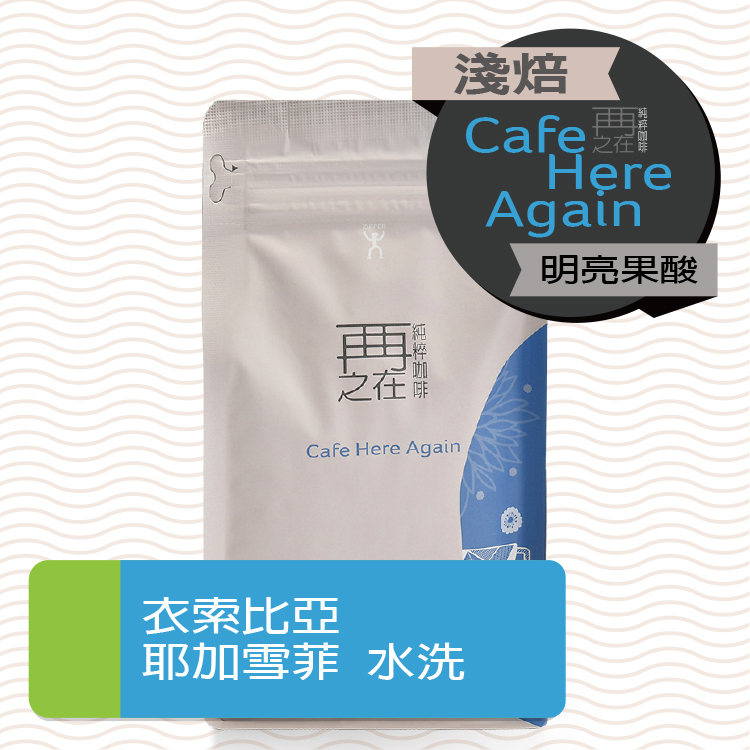 衣索比亞 蓋德奧 耶加雪菲 潔蒂普鎮 班可果丁丁村 乾式發酵水洗 G1