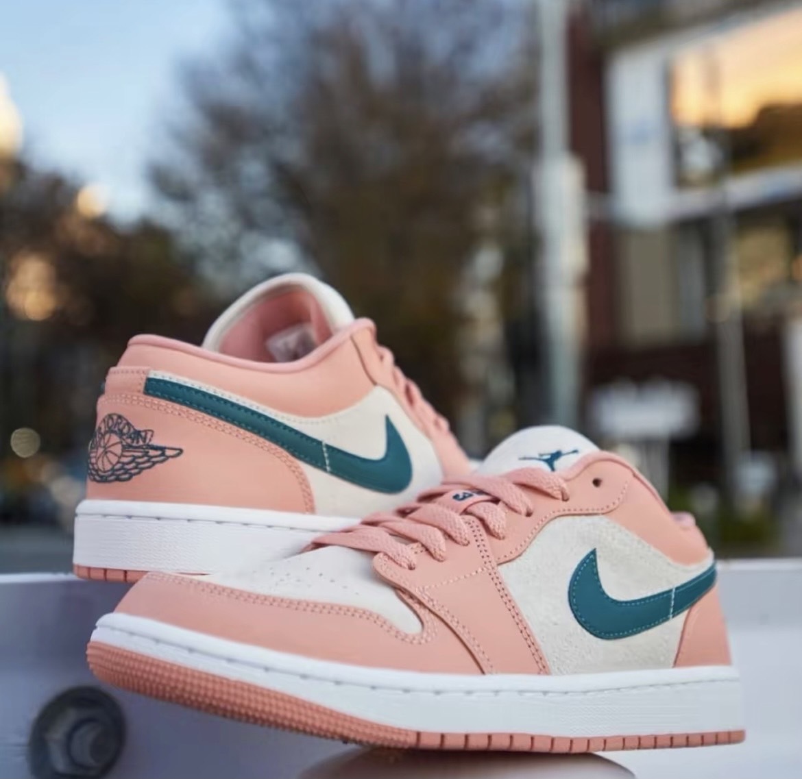 NILE Air Jordan 1 Low Light Madder Root 珊瑚粉 粉綠 女款