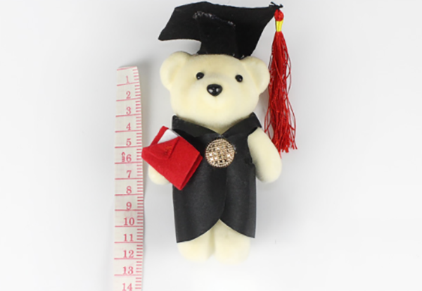 現貨區 手工花熊仔博士 CONGGIFT18