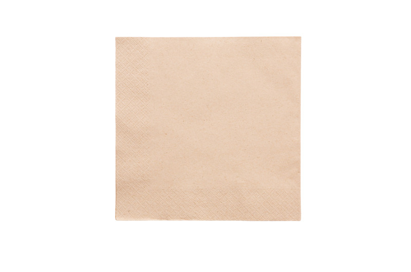 餐紙原色 33 厘米兩層 100 張