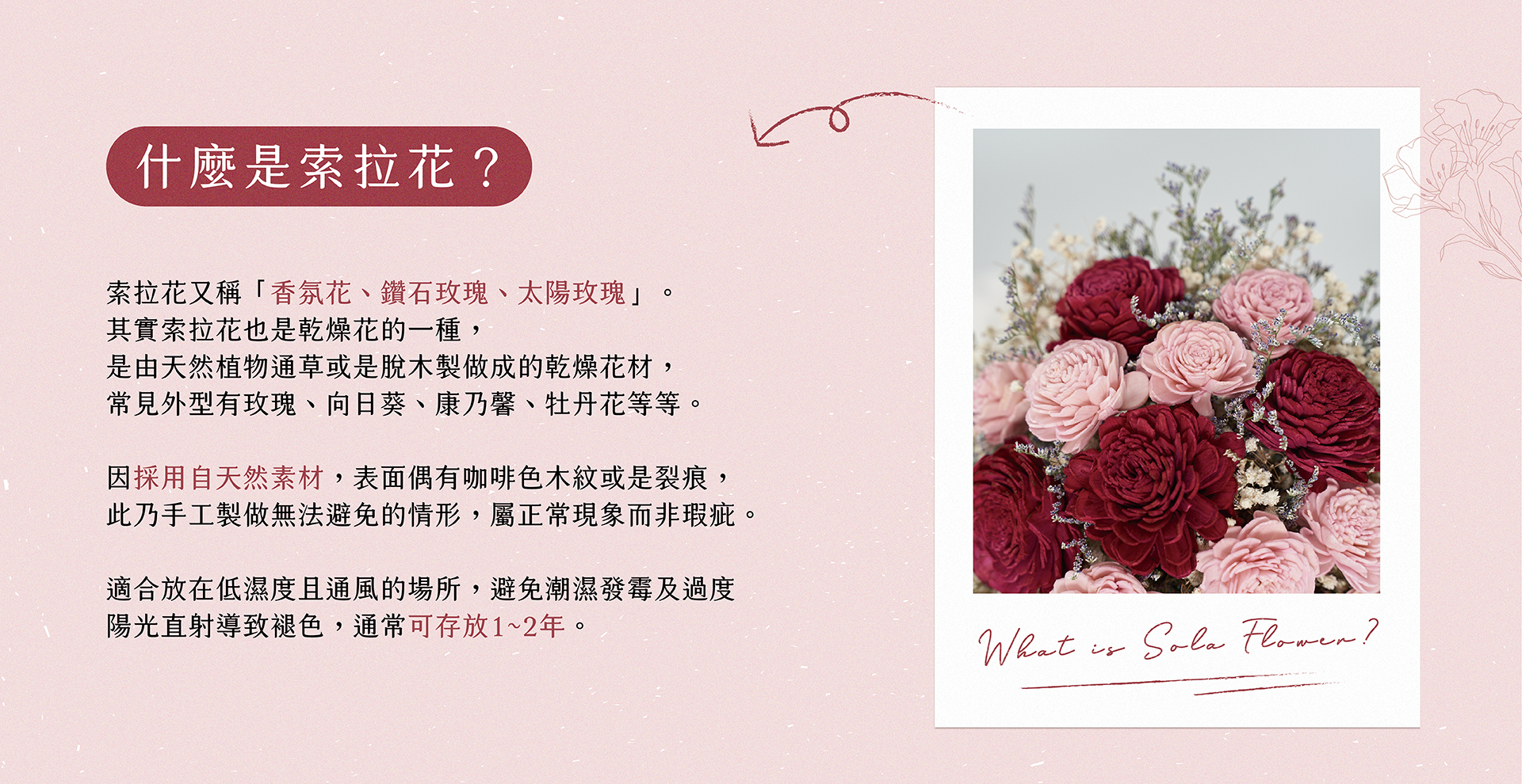 新竹乾燥花店小薇花藝向你介紹什麼是索拉花？什麼是香氛花？它們和天然乾燥花有什麼不同？