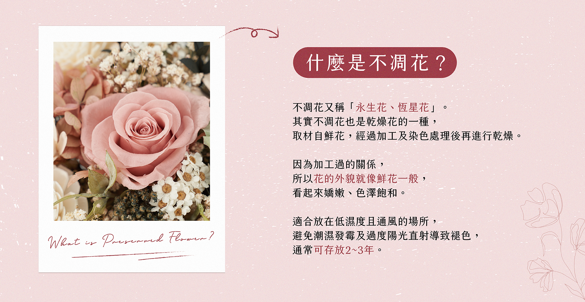 新竹乾燥花店小薇花藝向你介紹什麼是不凋花(永生花)？不凋花如何保存？為什麼不凋花看起來那麼像鮮花呢？