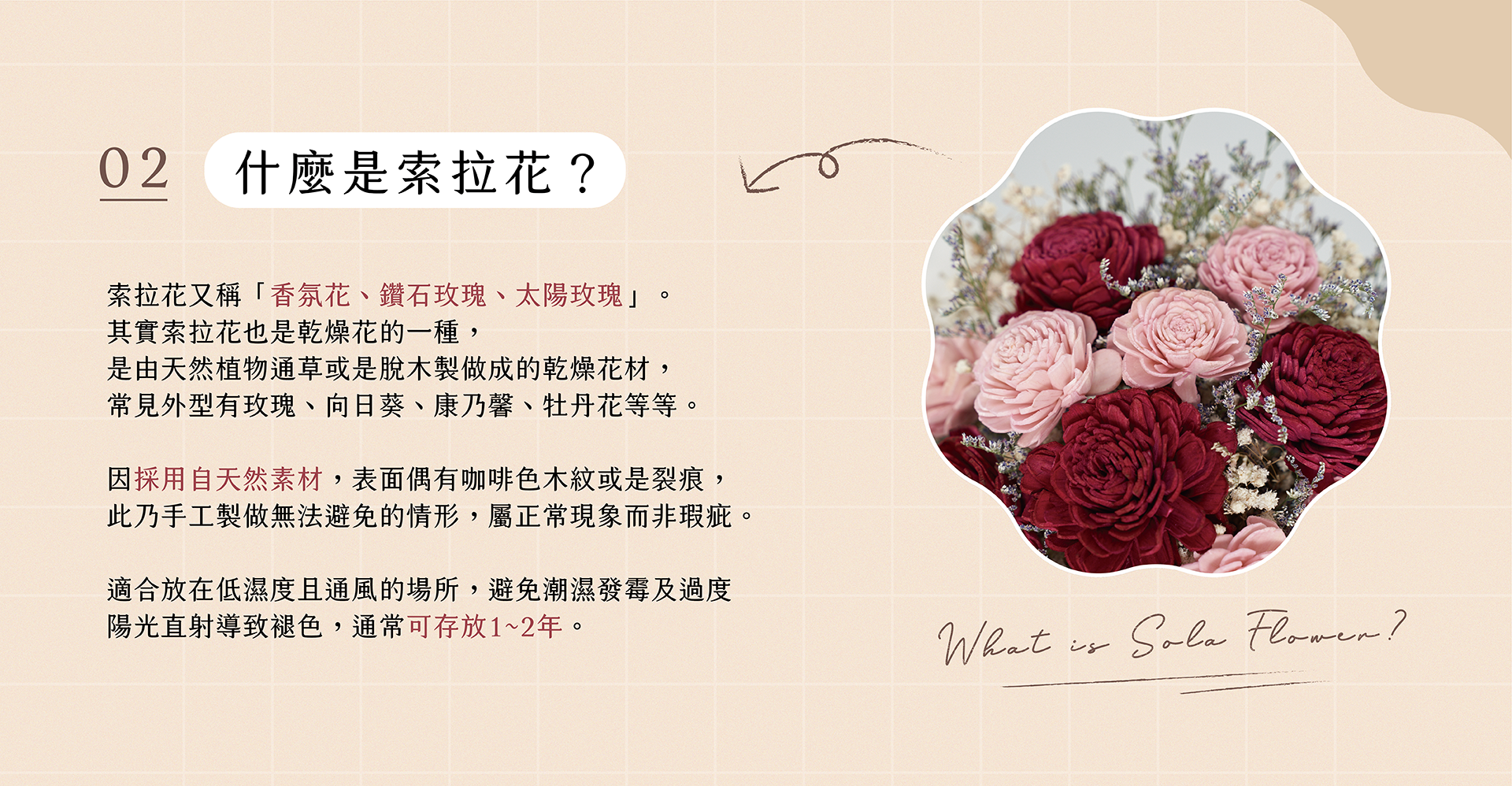 新竹乾燥花店小薇花藝向你介紹什麼是索拉花？什麼是香氛花？它們和天然乾燥花有什麼不同？
