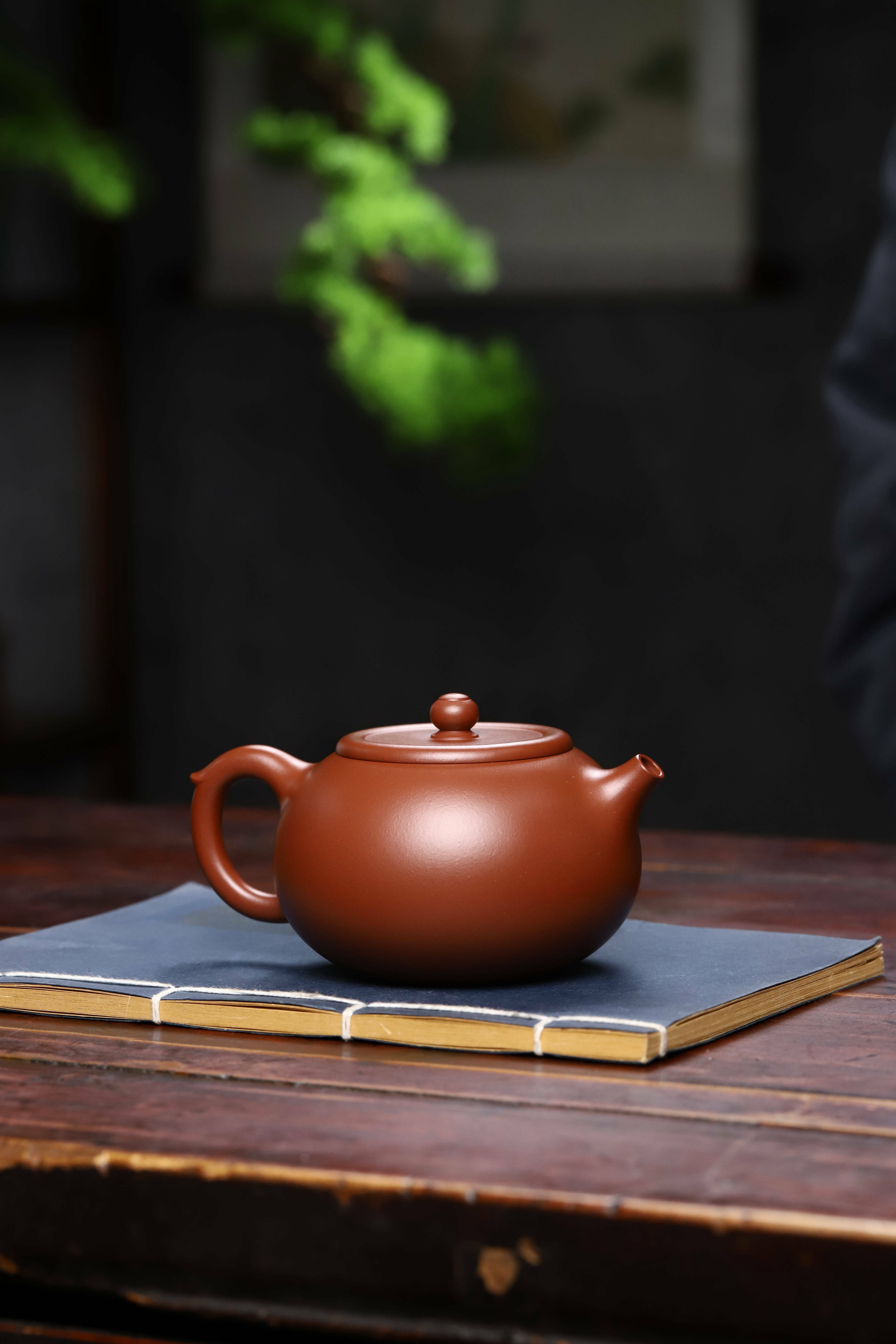 【穎瑾】--底槽青滋潤清透的泥質，嬌美動人。