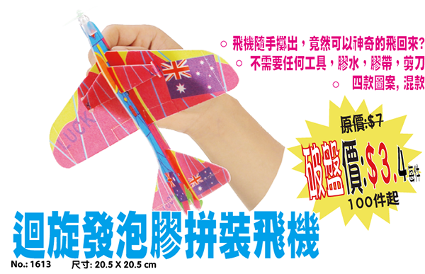現貨區 迴旋發泡膠拼裝飛機 1613