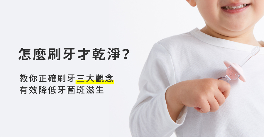 MISOKA,牙刷,刷牙,乾淨,怎麼刷牙,正確刷牙