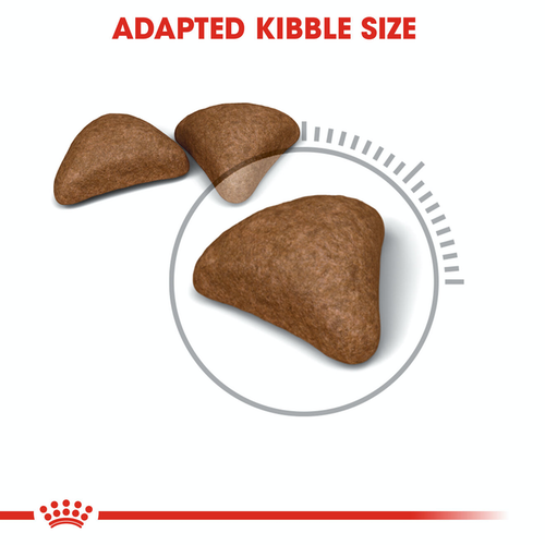 (原裝代理行貨) Royal Canin 成貓乾糧 - Hairball 強力去毛球配方 2kg