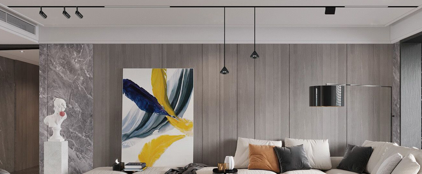 Raynice 48V 磁吸吊裝路軌 介紹