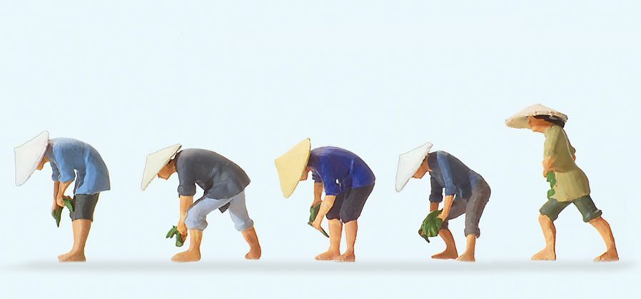 Preiser 10574 HO scale, On the rice field