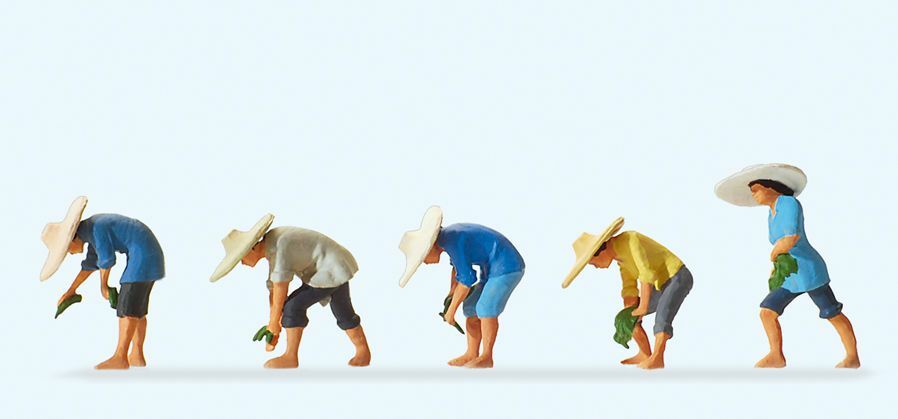 Preiser 10572 HO scale, On the rice field