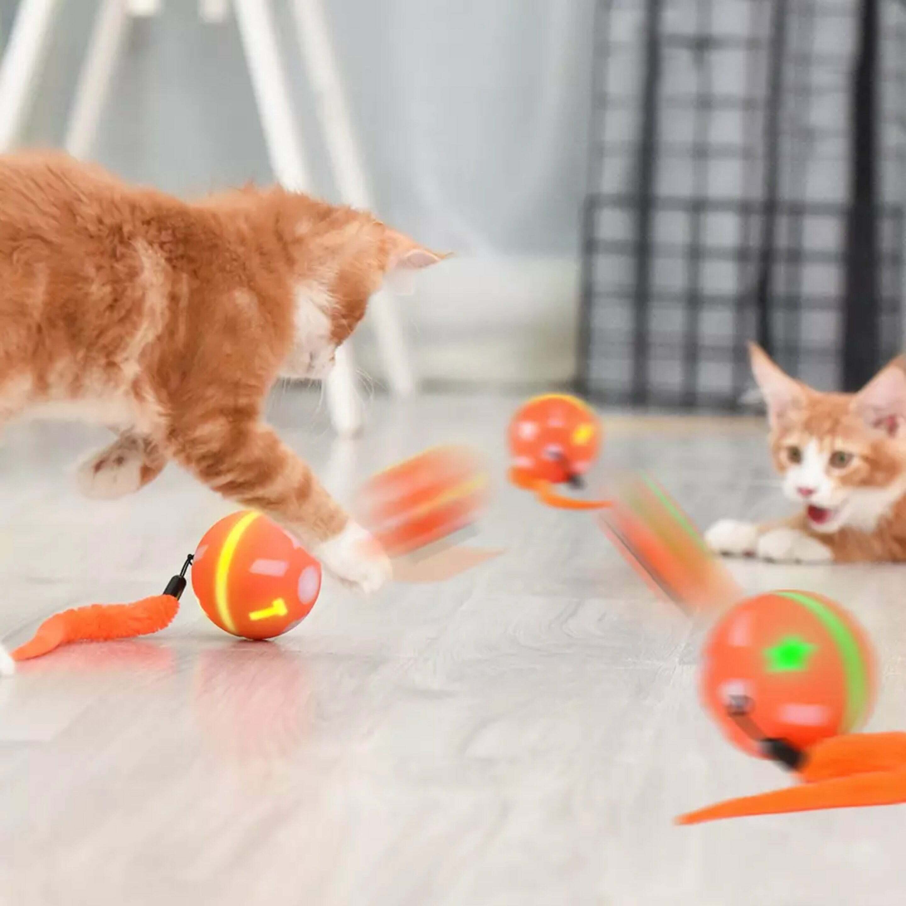 Bentopal P04 - LED智能電動球