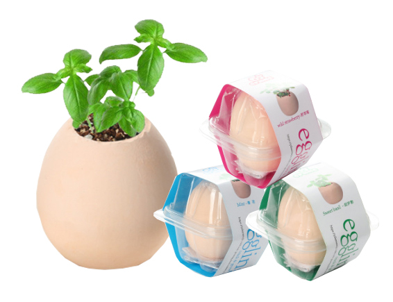 幸運仿真蛋殼小盆栽 1481