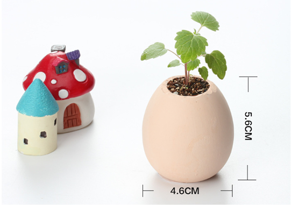 幸運仿真蛋殼小盆栽 1481