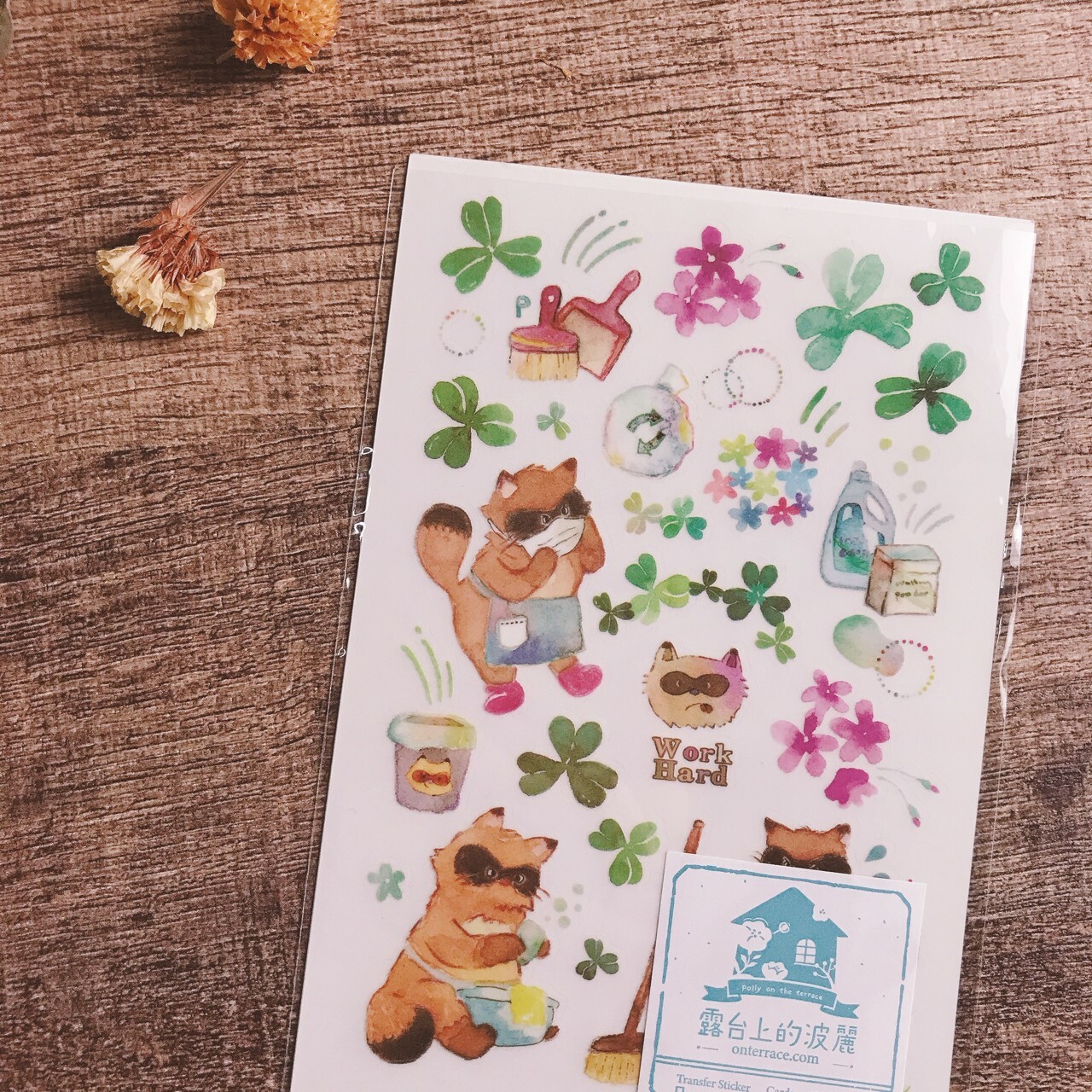 露台上的波麗｜清潔浣熊 轉印貼紙