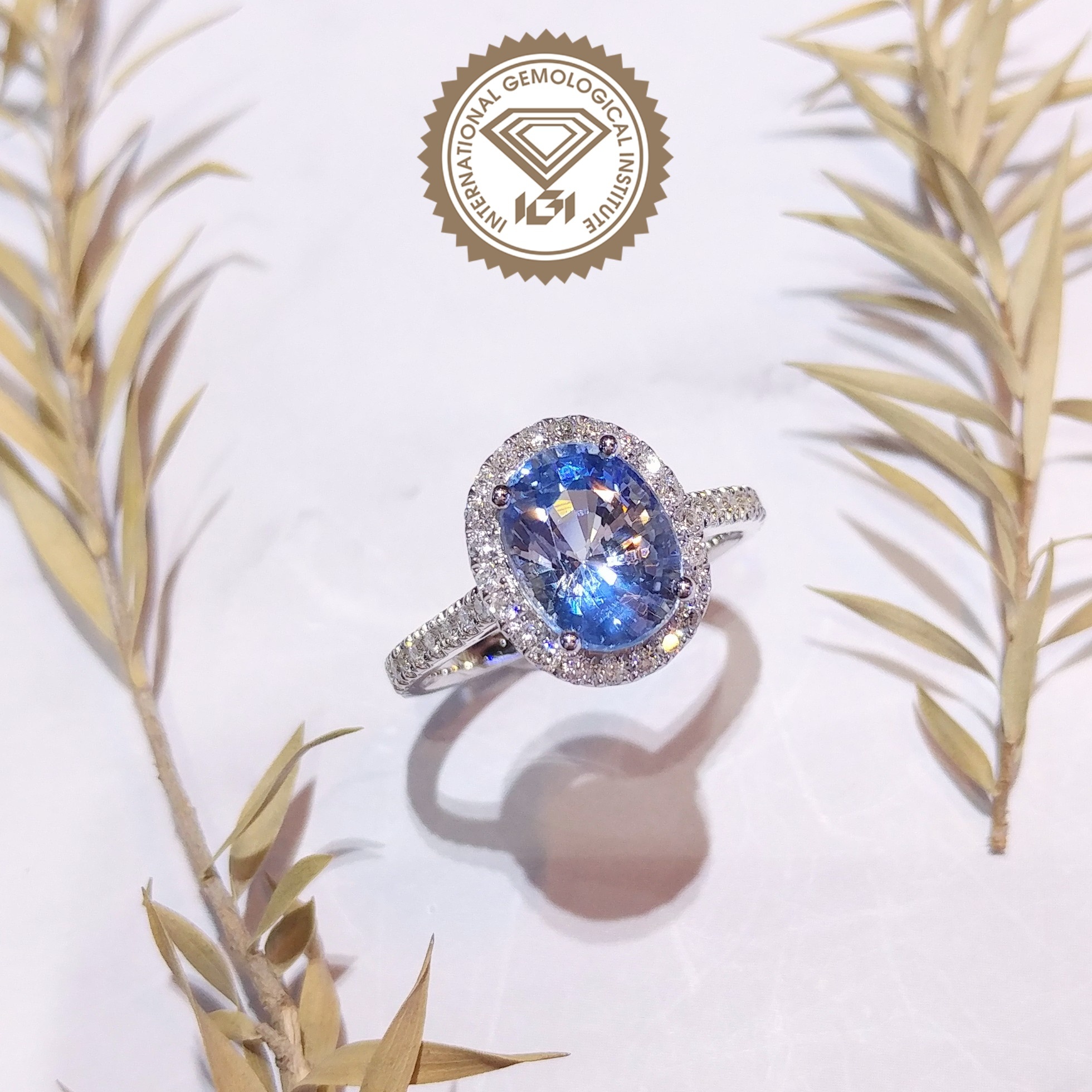 18K White Gold 2.72t Sapphire and Diamond Ring