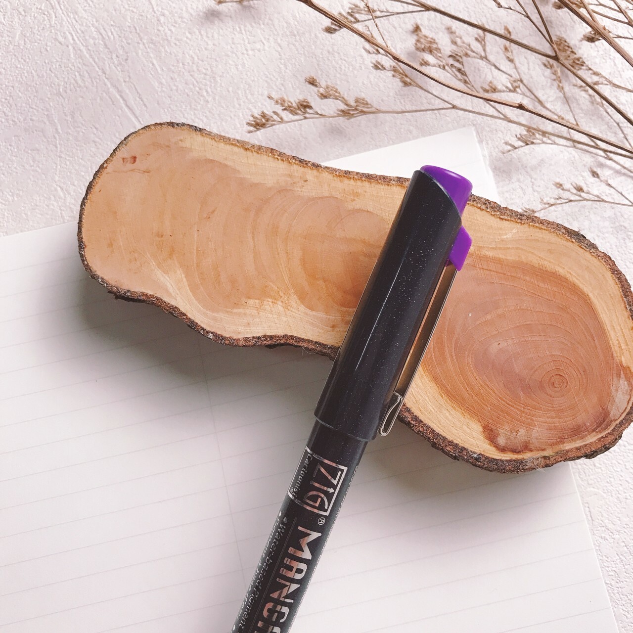 吳竹ZIG｜漫畫代針筆