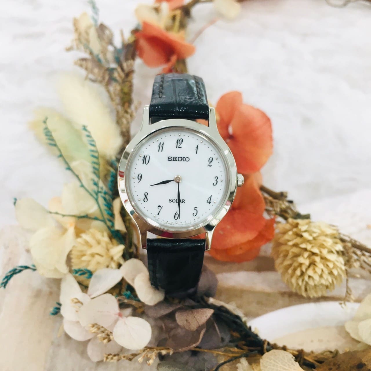 【SEIKO精工】簡約經典時尚太陽能腕錶 V115-0BS0W 26mm  現代鐘錶