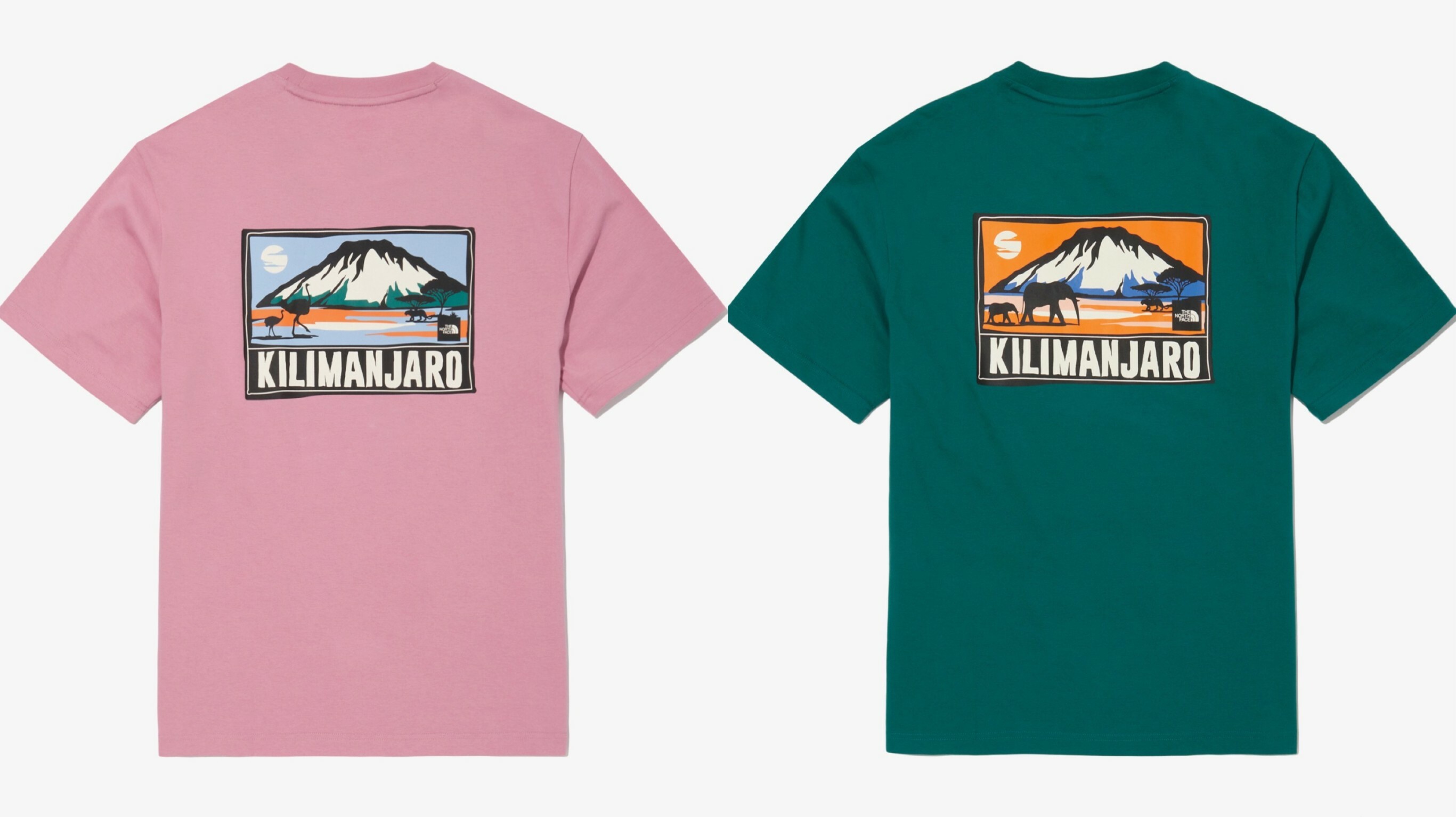 THE NORTH FACE GREEN PARK 公園 卡通 短袖 短T NT7UN16M