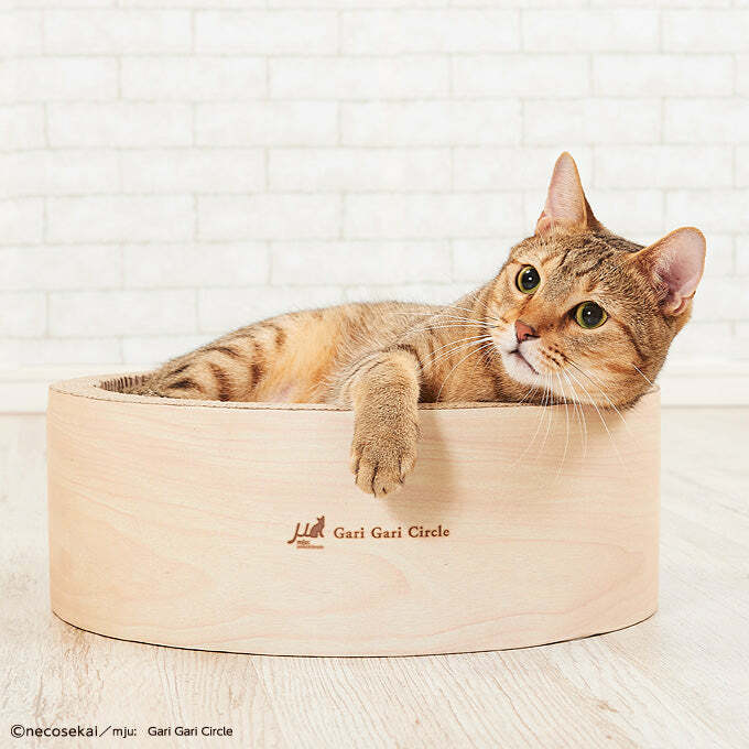 ［日本Gari Gari 貓抓板系列］～圓窩形貓抓板-白木紋