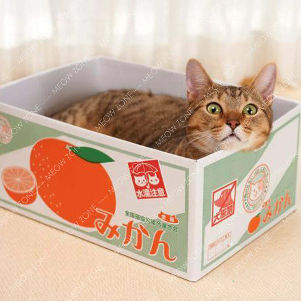 日系猫抓板 - 橘子箱