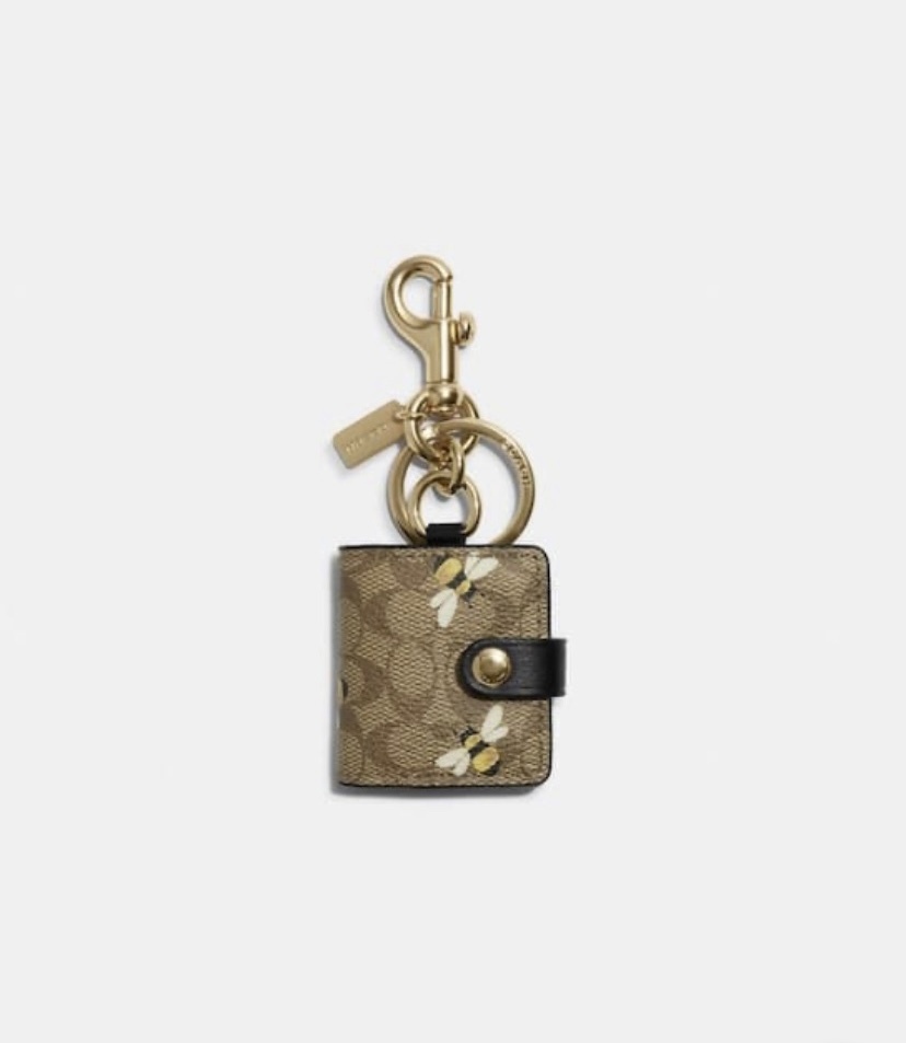 Coach Picture Frame Bag Charm In Signature Canvas With