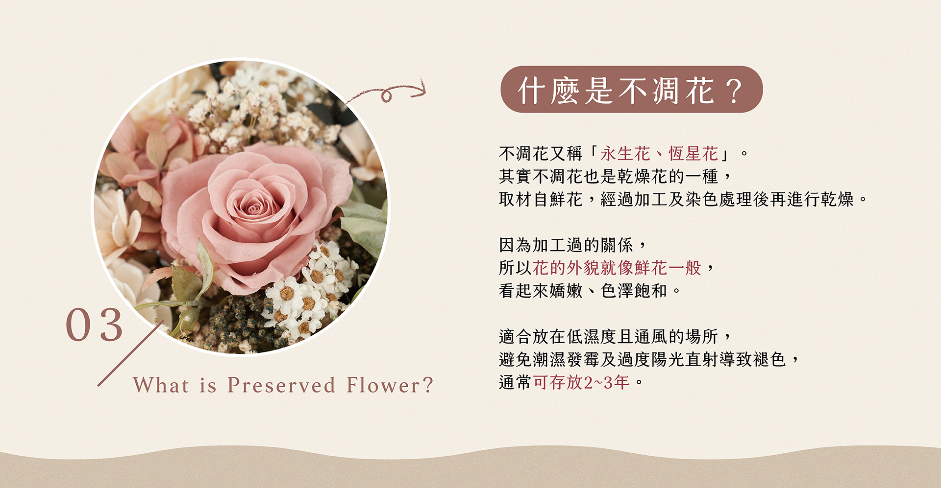 新竹乾燥花店小薇花藝向你介紹什麼是不凋花(永生花)？不凋花如何保存？為什麼不凋花看起來那麼像鮮花呢？