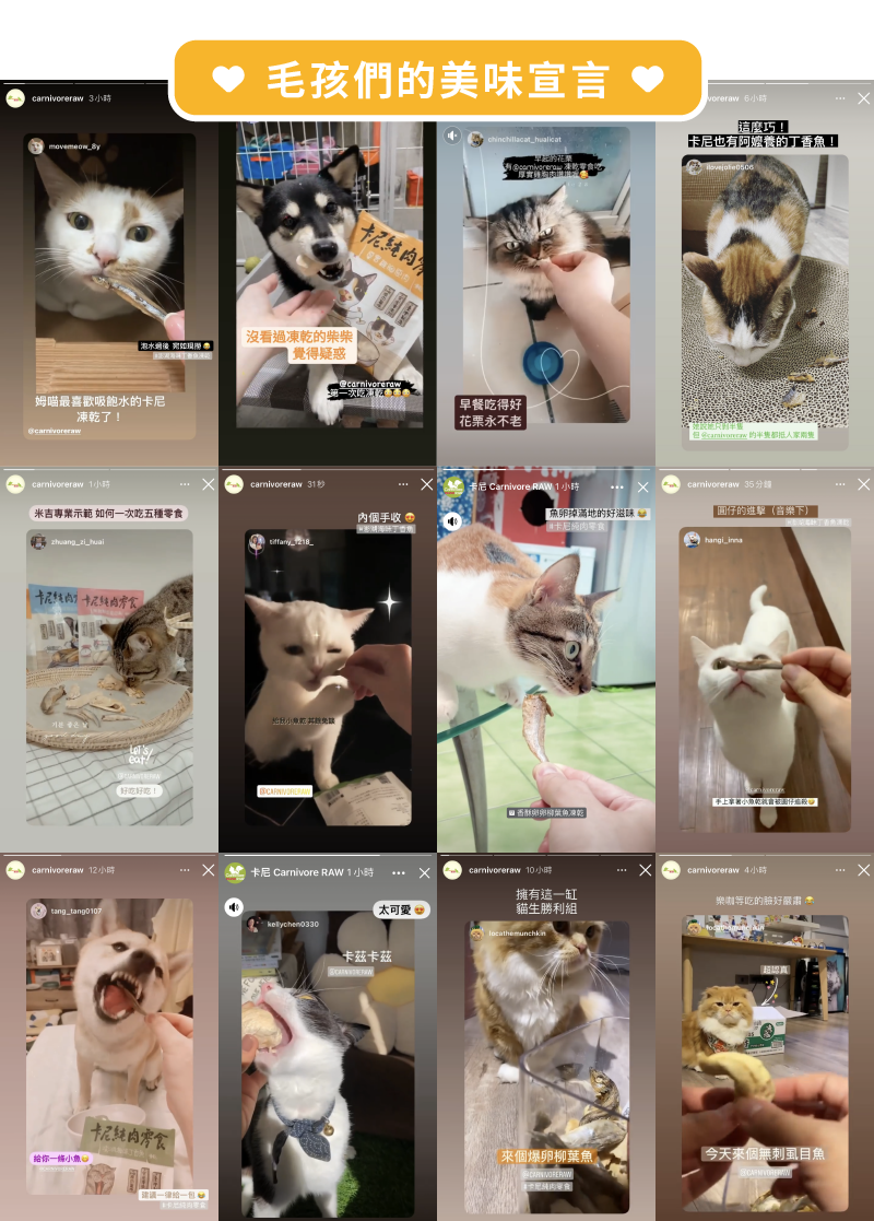 卡尼凍乾零食好評分享