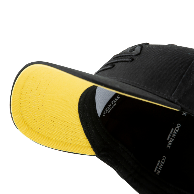 Water World Adult Cap (Black)