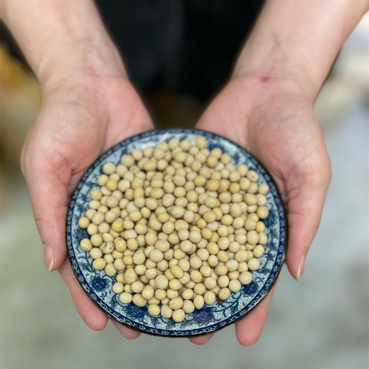 加拿大黃豆（600克）