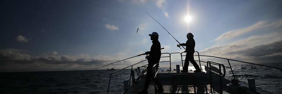 MC WORKS' Slow Hand 806PD Casting Rod SH806PD