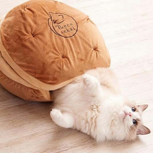 日本🇯🇵Necosekai DORAYAKI銅鑼燒保暖🔥貓窩😻😻