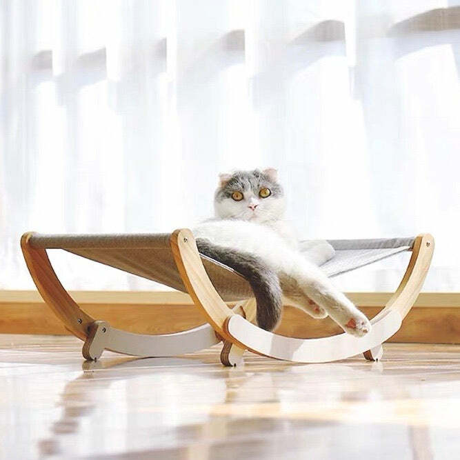 多功能貓貓搖搖床😻😻