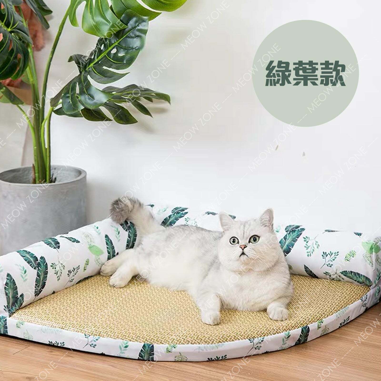 夏日透心涼～牆角涼蓆床😻😻