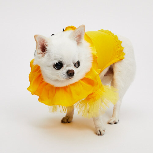 Louisdog 多巴胺荷葉上衣