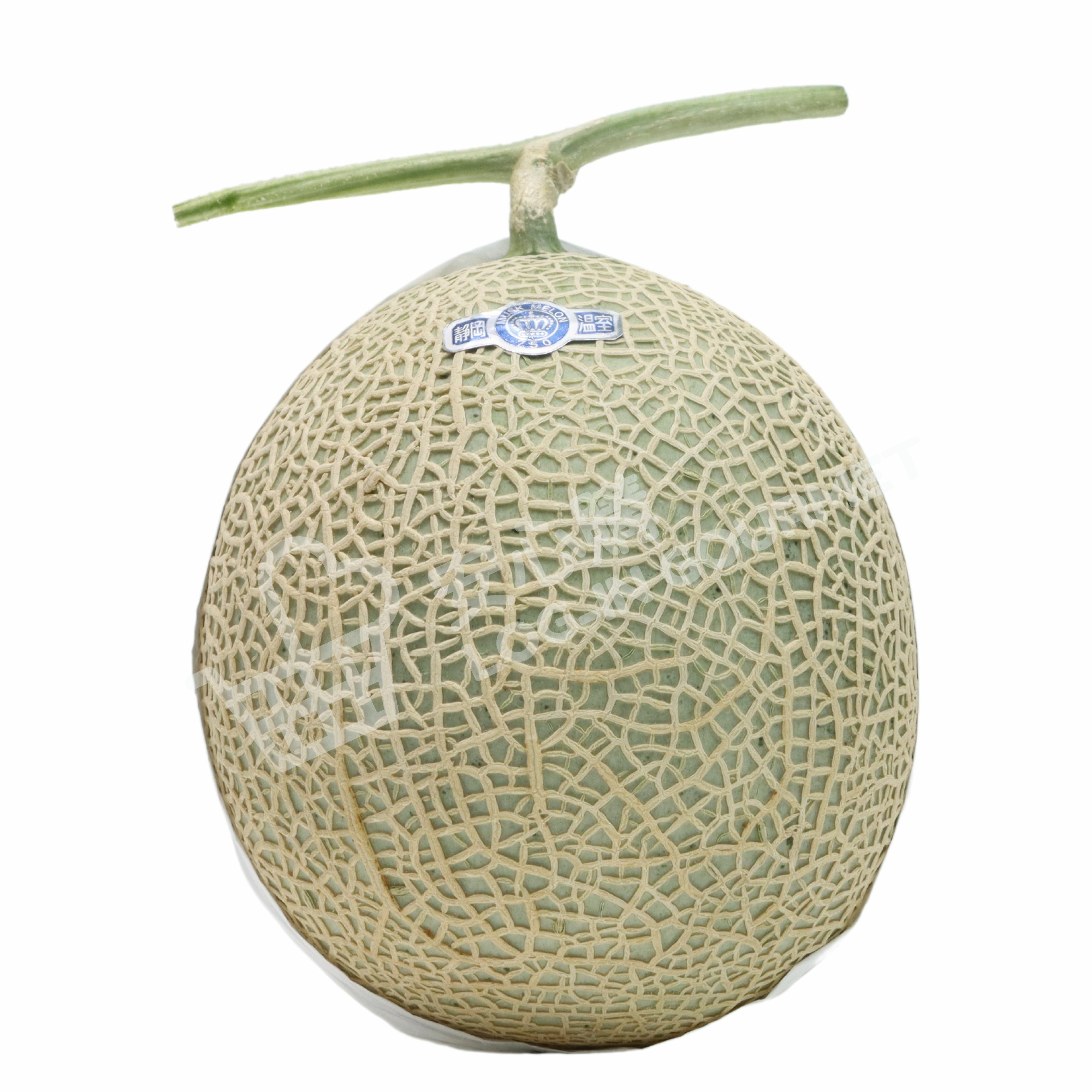 靜岡縣皇冠蜜瓜 白印 6玉