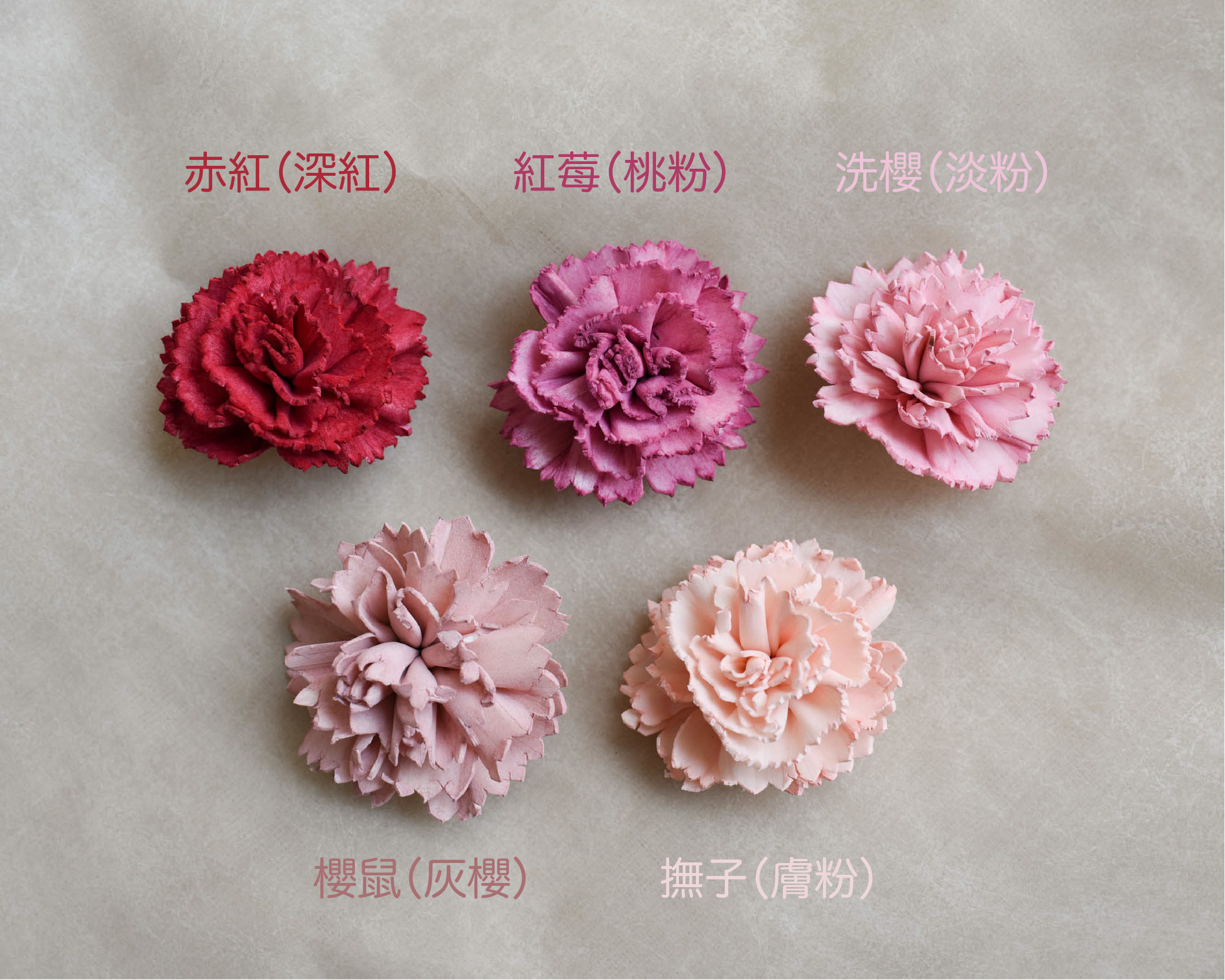 康乃馨 索拉花花頭 4 5cm